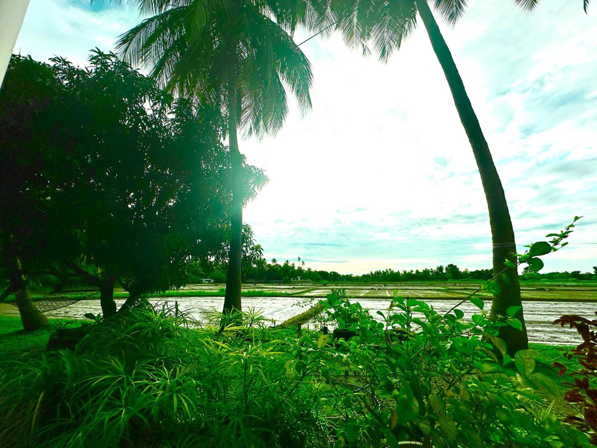 Aroma Villa Homestay Polonnaruwa Kültér fotó